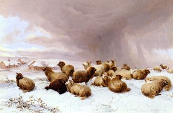 托馬斯 辛德尼 庫珀 Sheep In Winter